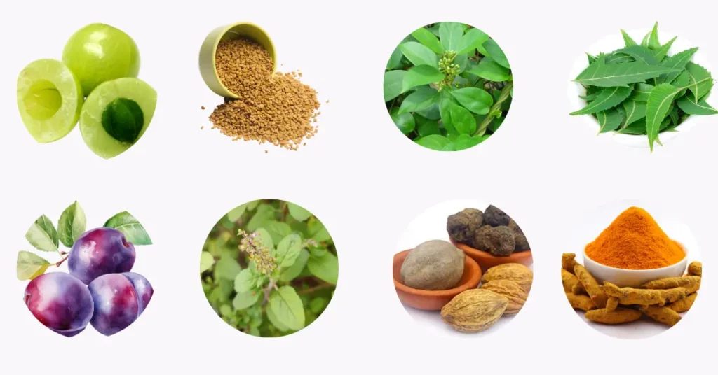 Best Ayurvedic Medicines for Diabetic Patients