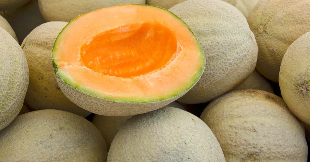 Muskmelon Good for Diabetes Muskmelon Good for Diabetes