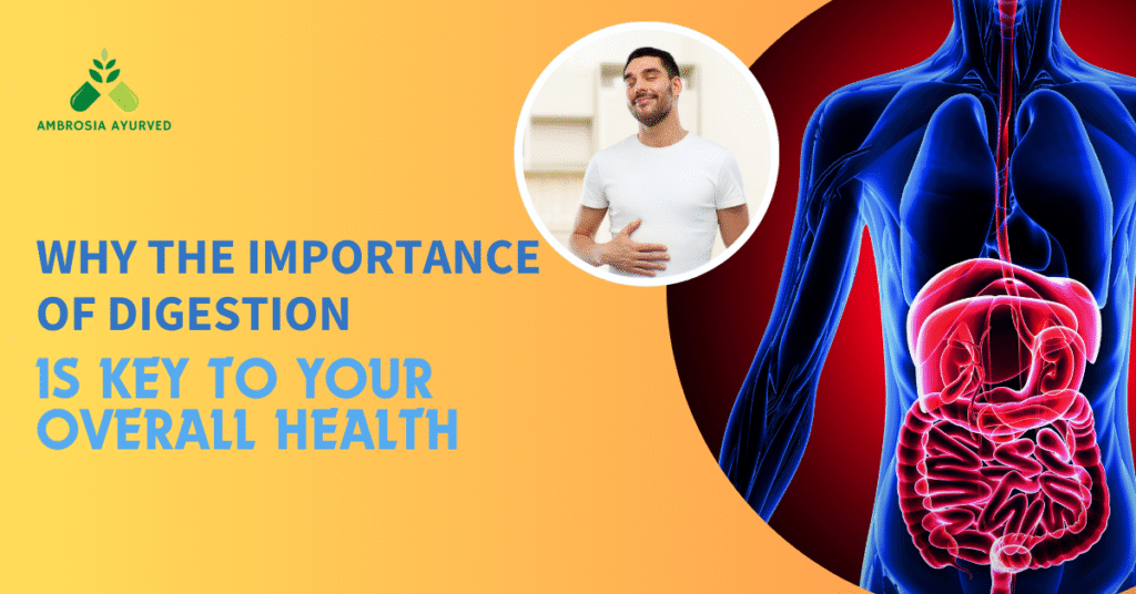 Why the Importance of Digestion Is Key to Your Overall Health?