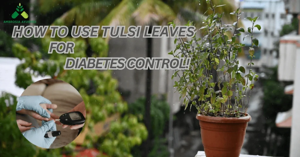 How to use tulsi leaves for diabetes control