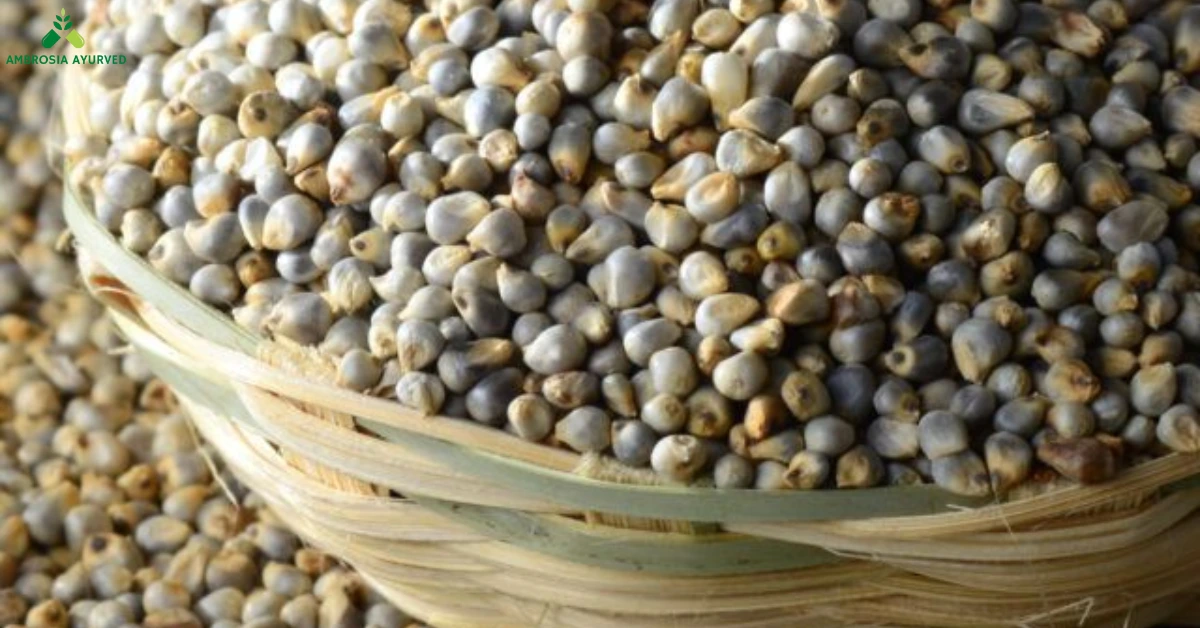 Is Bajra (Pearl Millet) Good for Diabetes? A Winter Superfood