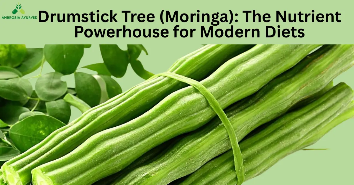 Drumstick Tree (Moringa): The Nutrient Powerhouse for Modern Diets