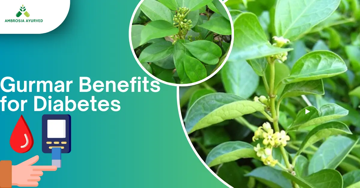 Gurmar Benefits for Diabetes: Why This Sugar-Destroyer Herb Is Valued in Ayurveda
