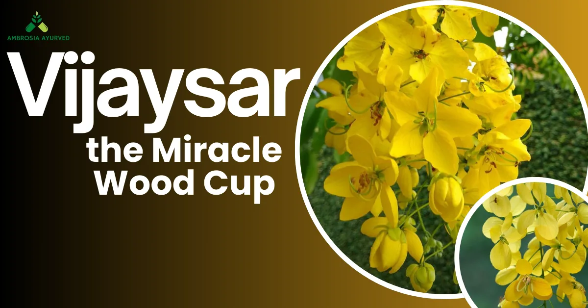 Vijaysar Benefits for Diabetes Management: ‘Miracle Wood’ Cup 